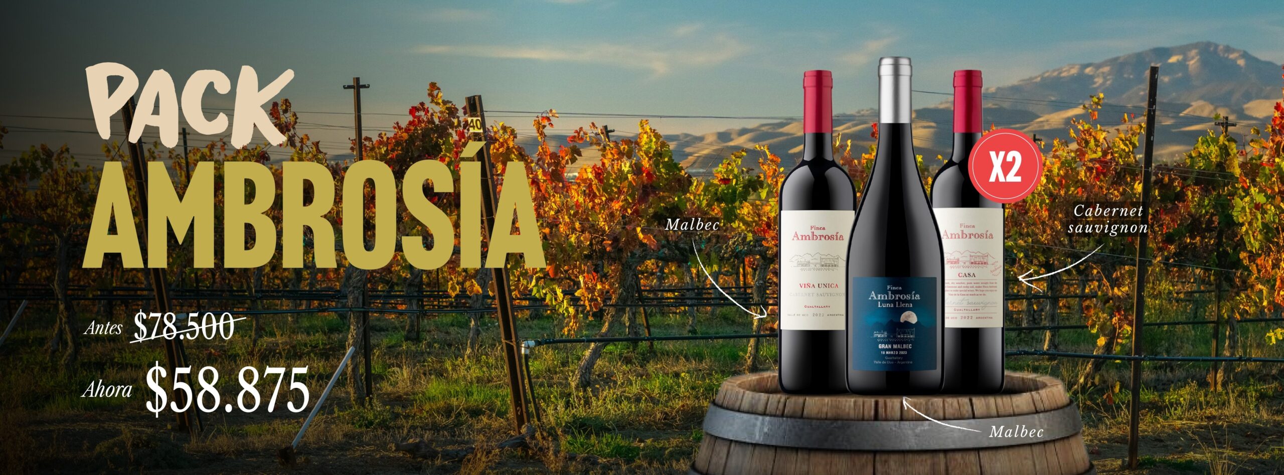 Banners web Wineman (1)_00002