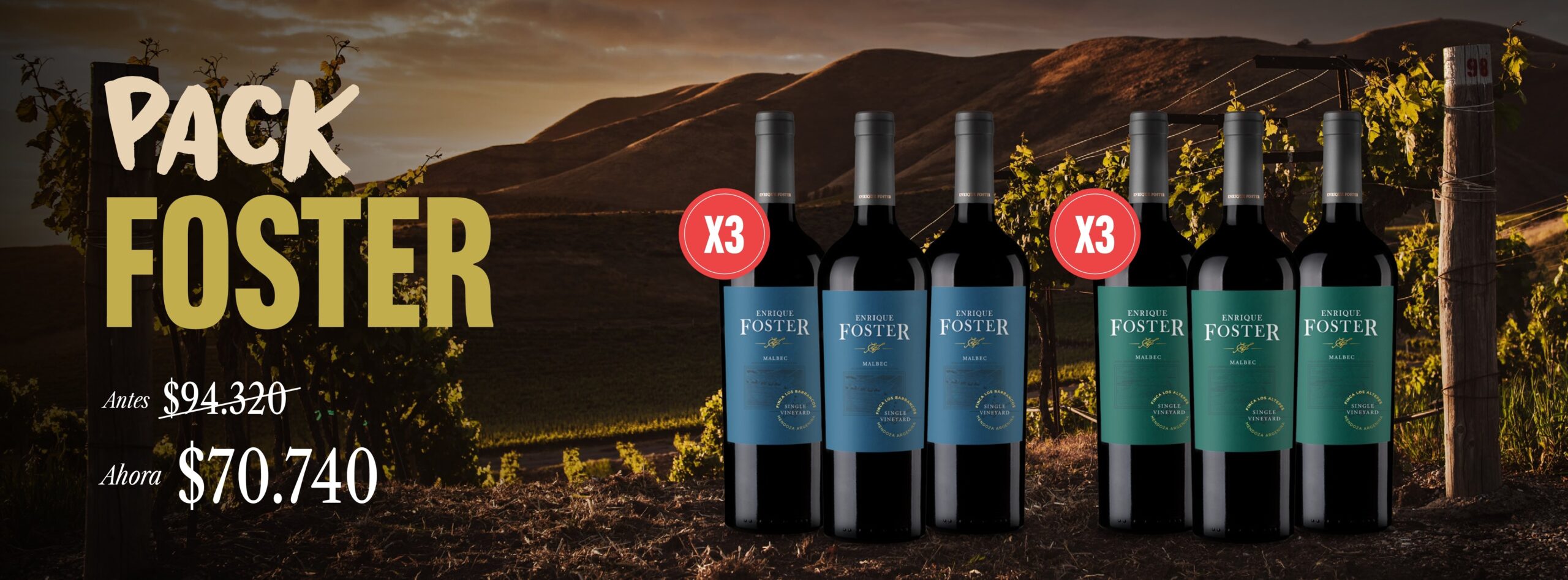Banners web Wineman (1)_00005