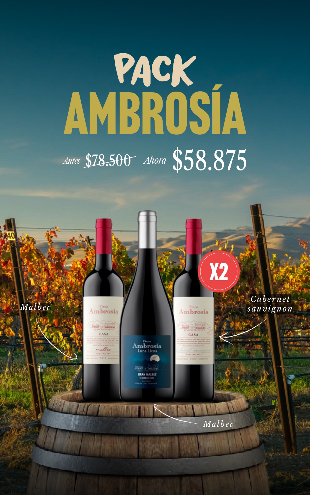 Banners web verticales Wineman_page-0002
